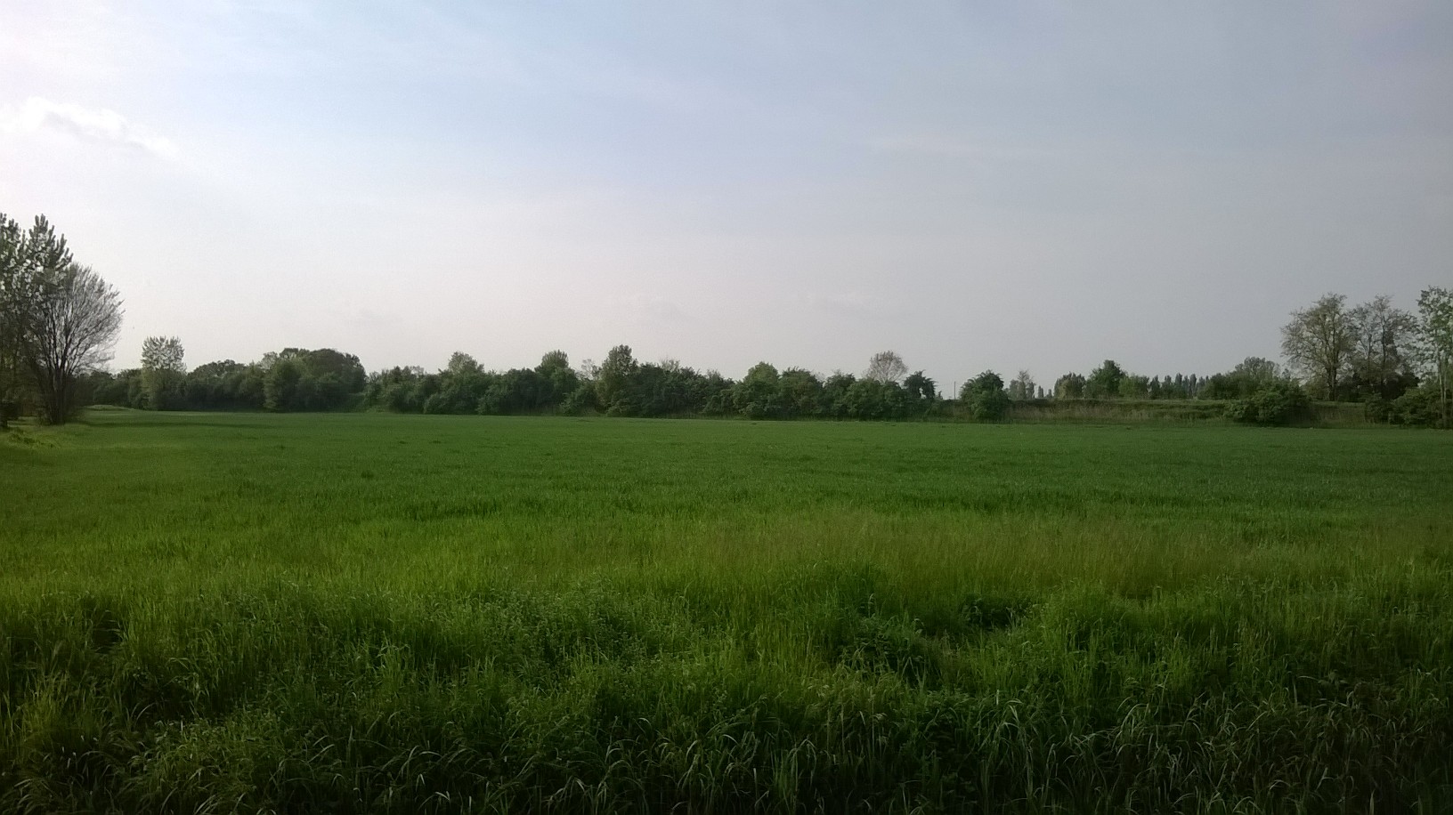 WP_20140406_0011