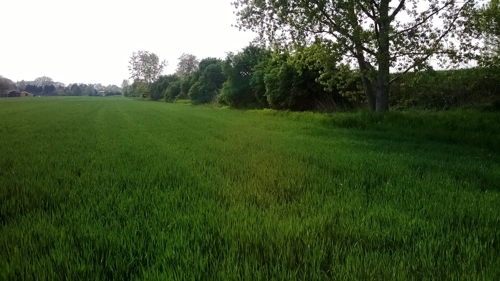 WP_20140406_006