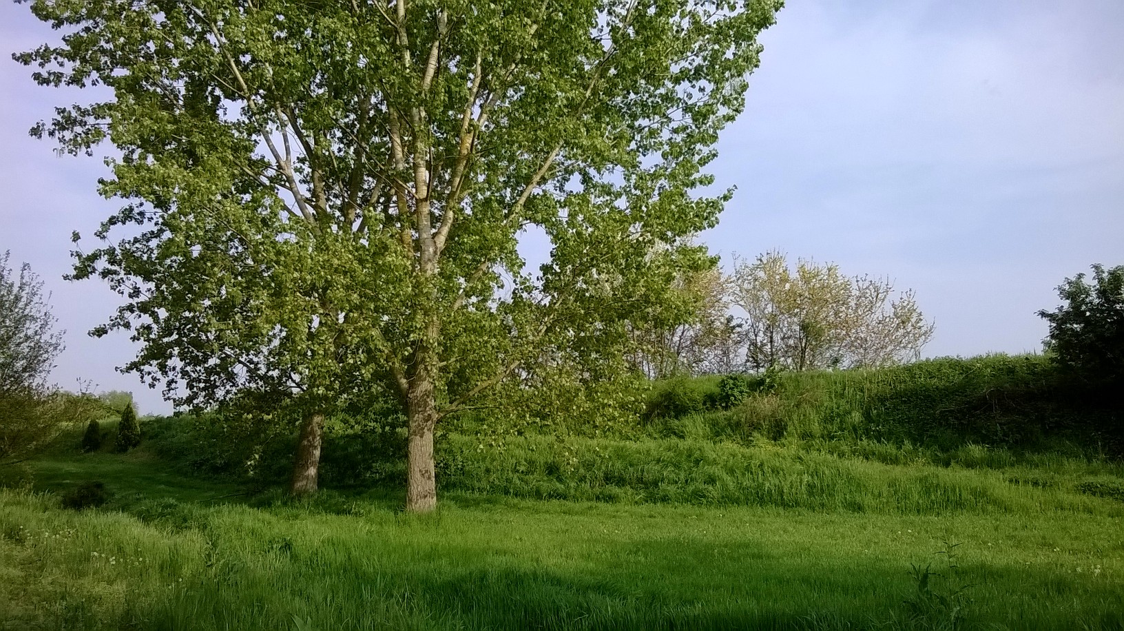 WP_20140406_0121
